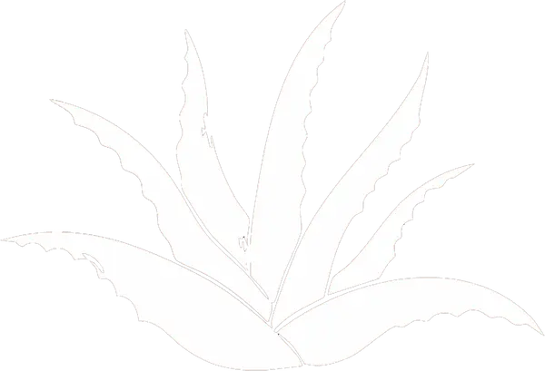 penumbra logo small white