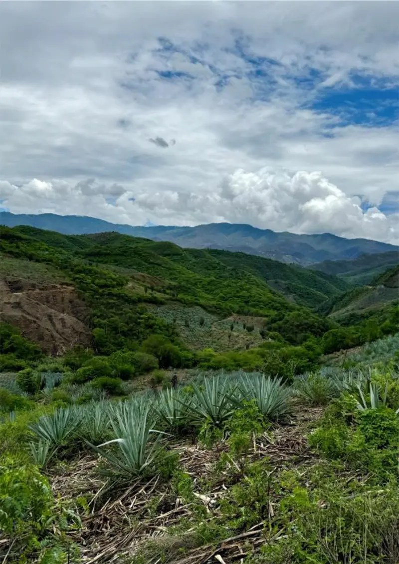 process carousel santa ana del rio oaxaca