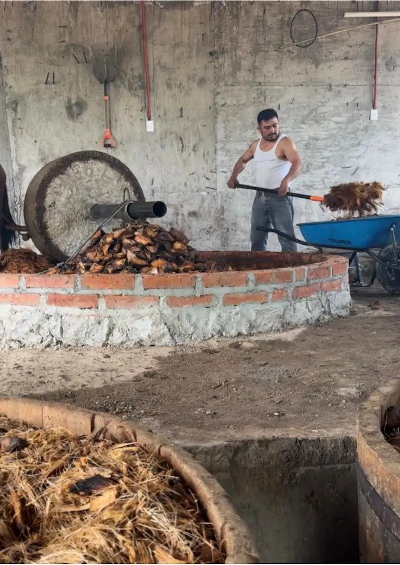 process carousel tahona crushed